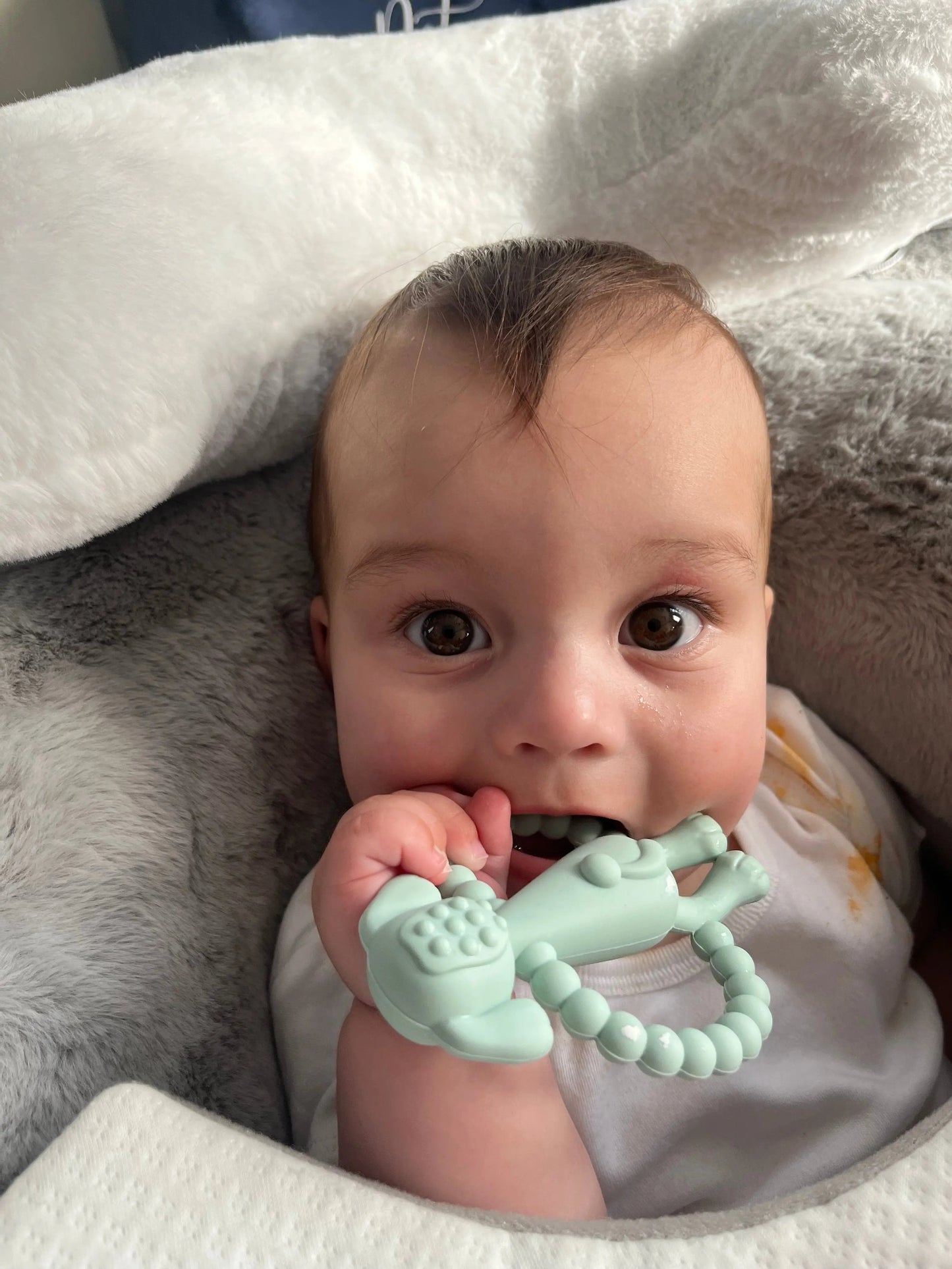 Silicone Baby Teether - Angus the Cavapoo