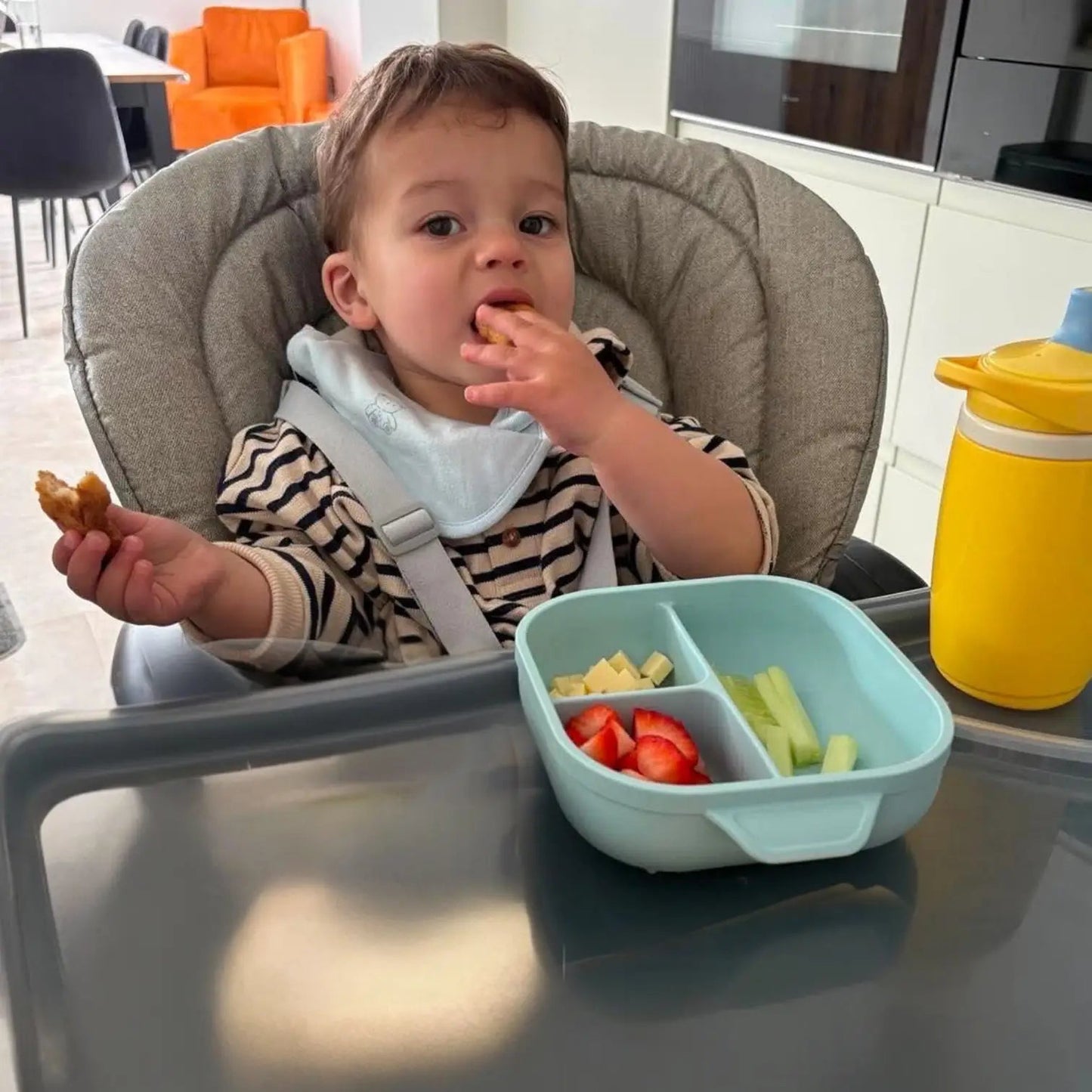 BabyHyo Baby Divided Feeding Tray with Lid – 3 Compartment Weaning Plate